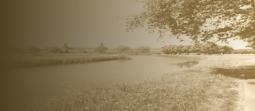 wp5d4df7f4_0f.jpg